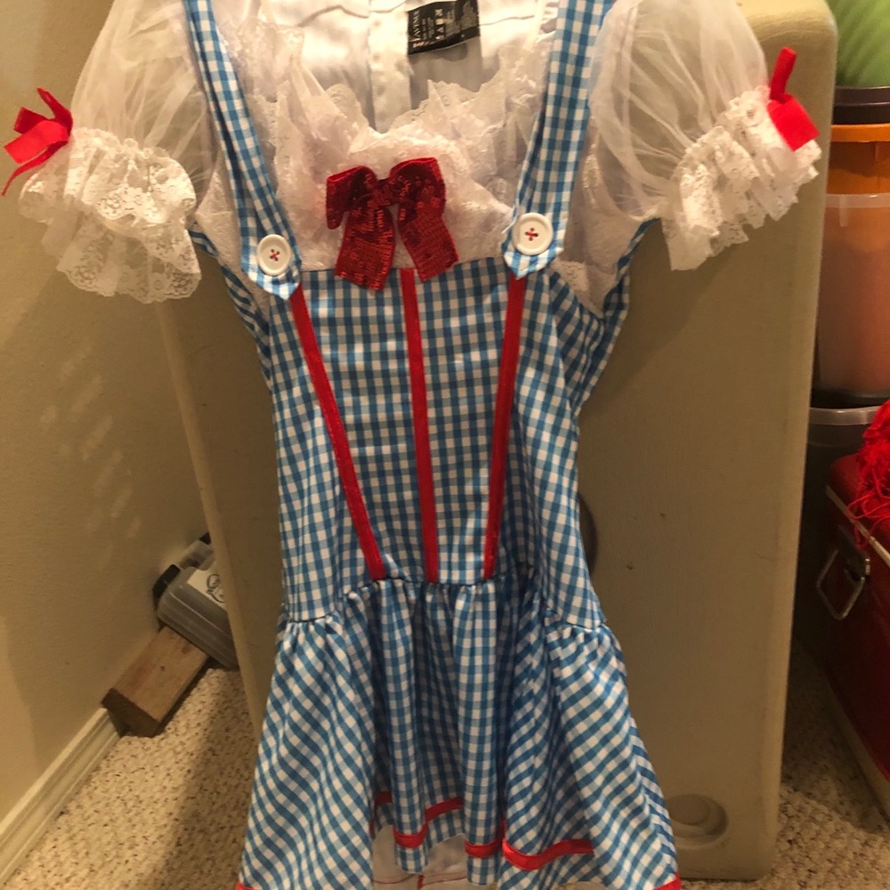 Raggedy Ann Women’s -size M/L -Halloween Costume.